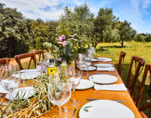 Picknick im Grünen auf mallorquinischer Finca