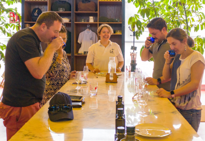 OLIVE OIL TASTING MALLORCA